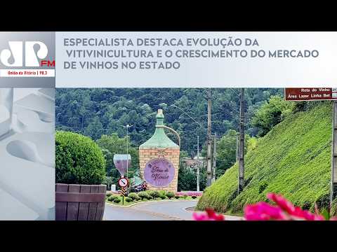 ESPECIALISTA DESTACA EVOLUÇÃO DA VITIVINICULTURA E O CRESCIMENTO DO MERCADO DE VINHOS NO ESTADO