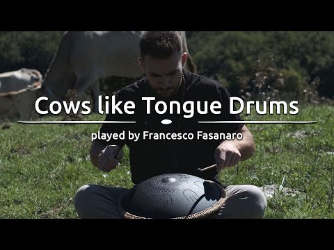 Cows like Tongue Drums - played by @FrancescoFasanaro - Meinl Sonic Energy
