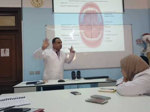 Oral Biology: Mucous Membrane (Gingiva)lab 2016