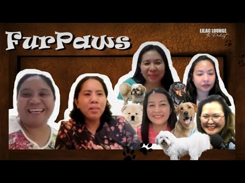 EPISODE 40: FURPAWS #dogmama #podcast #doglover #catlover #aspin