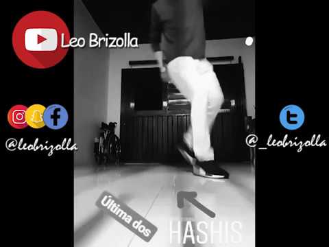 APRENDENDO A USAR HASHI - CaraLEO