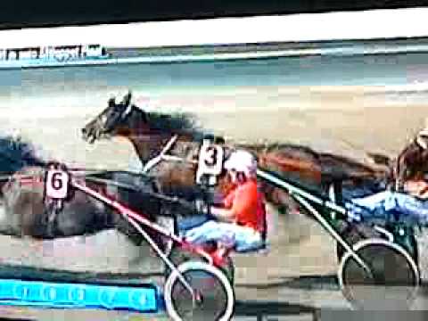 Elitloppet 2009 - Torvalds Palema