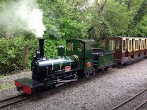 Trago Steam Gala