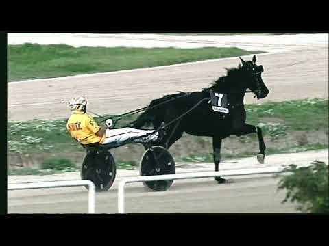 Napoli Trotto 21/10/2022 - 5ª corsa