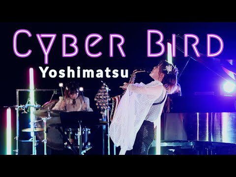 Takashi Yoshimatsu - Cyber Bird Concerto