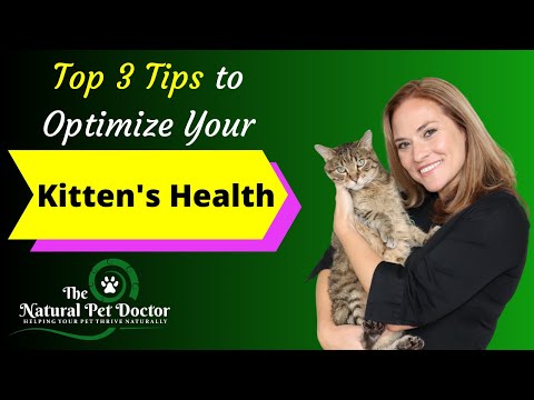 Top 3 Tips To Optimize Your Kitten's Health with Dr. Katie Woodley - The Natural Pet Doctor