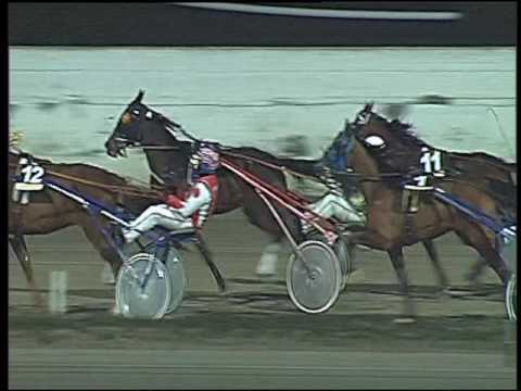 Trotto 06/01/2017 - 8ª corsa