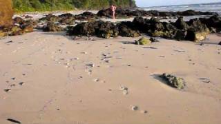 preview picture of video 'Sunset Beach Koh Kradan'