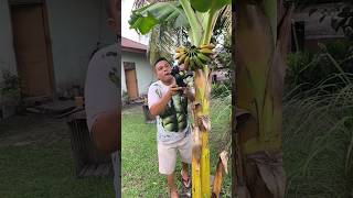 Download lagu Kun Nabap #shorts #trending #funny mp3 Download lagu Kun Nabap #shorts #trending #funny mp3