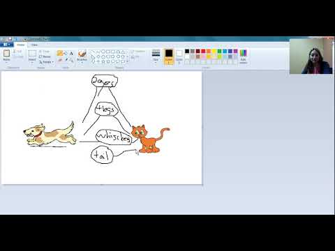 Double Bubble Thinking Map Quick Intro