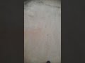 My Street Walking ‍ ️