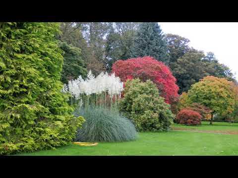Pentrebychan Crematorium 8 October 2020