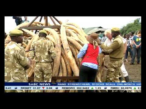 Wildlife conservation in Africa has received a major boost