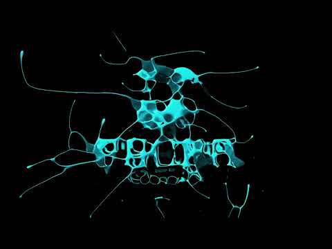 Ricky Castelli ft Curtis Clark - Your Love Original Mix