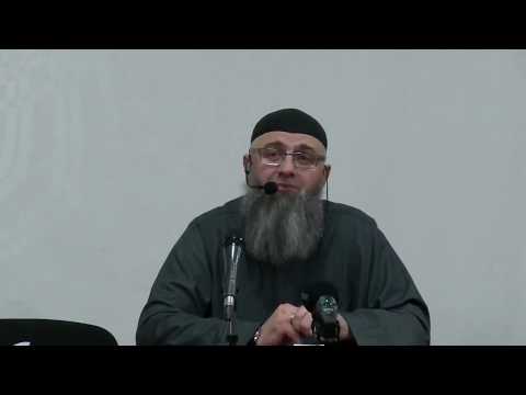 Da li je dozvoljeno kupiti mačku - Dr. Safet Kuduzović