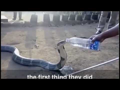 Вот это жара!