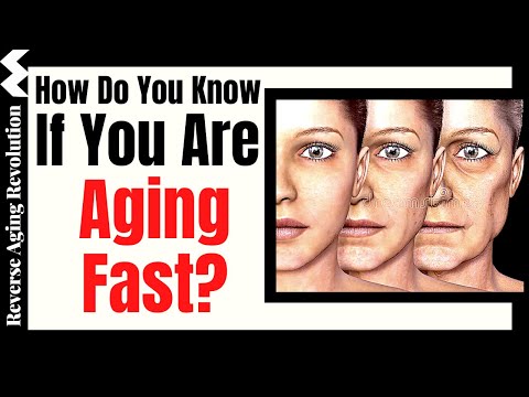 How Do You Know If You Are AGING FAST?  |  Dr Morgan Levine Interview Clips