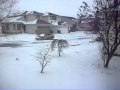 Cinco de Mayo / Calgary Alberta Canada and snowing!!