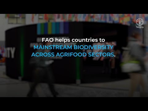 Biodiversity for food security