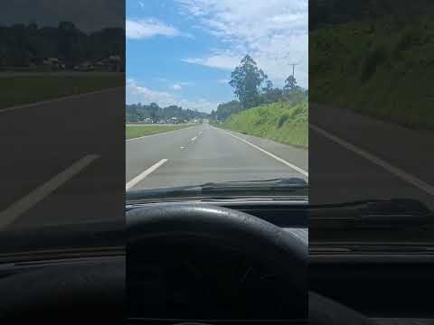 Imbau Parana