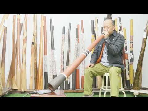 Mumuminya Marawiliw Yidaki key of D#   webcode 7659