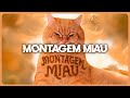 Lenar Montagem Miau