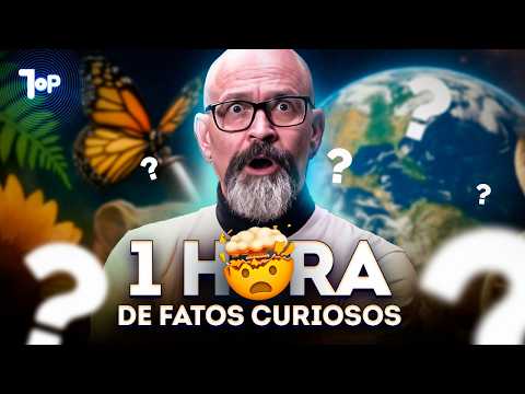 1 HORA DE CURIOSIDADES QUE VOCÊ NÃO SABIA! ⏰🤯
