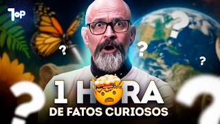 1 HORA DE CURIOSIDADES QUE VOCÊ NÃO SABIA! ⏰🤯