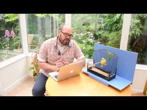 The Canary Room - Episode 9 Promo