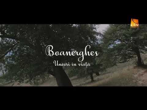 Boanerghes - Uneori in viata