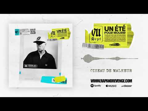 VII - Oiseau de malheur