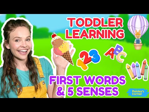 Witness21 Editor  2025 03 24