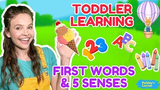 Learn to Talk - Learn 5 Senses | Learn Colors, First Words, Vehicles | Best Toddler Learning Videos