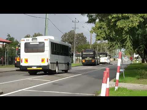 ex-Transperth 487, 730 and 1128 at Wharf Street, Cannington