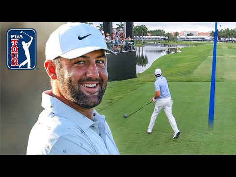 Scottie Scheffler: World Number One