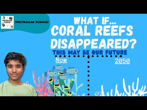 What if Coral Reefs Disappeared? With Dr. Emma Camp - Spectacular Science Ep. 142