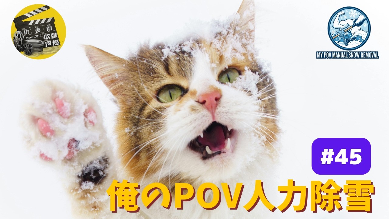 俺のPOV 人力除雪#45 My POV Manual Snow Removal #45