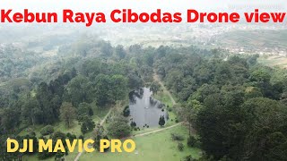 Download lagu KEBUN RAYA CIBODAS DRONE VIEW - DJI MAVIC PRO DRONE mp3