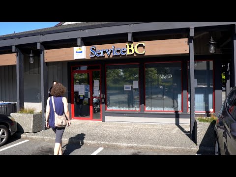 The Queue Customer Flow Management System