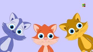 Download lagu Tiga Anak Kucing Kecil | kucing sajak untuk anak-anak | Preschool Songs | Three Little Kittens mp3