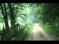 Someday Darlin' - The Ozark Mountain Daredevils cover