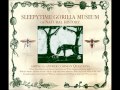 Sleepytime Gorilla Museum - What Shall We Do Without Us?