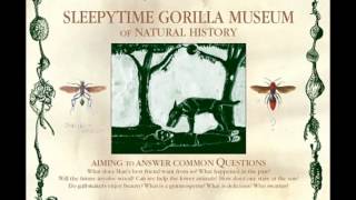 Sleepytime Gorilla Museum - What Shall We Do Without Us?