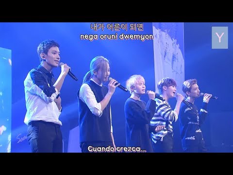 SEVENTEEN - When I Grow Up Live sub español + hangul + rom