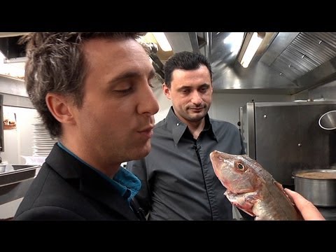 Toques Toques : Bouillabaisse !