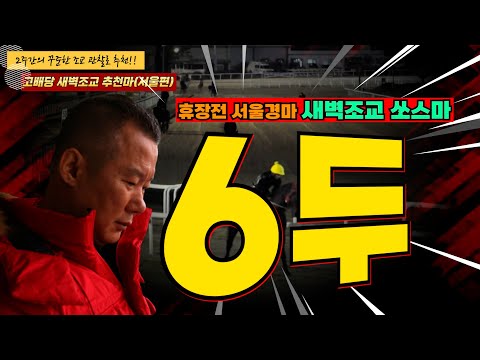 8/1--2-3-부산-강백호경마#고배당새벽조교#새벽조교배당마