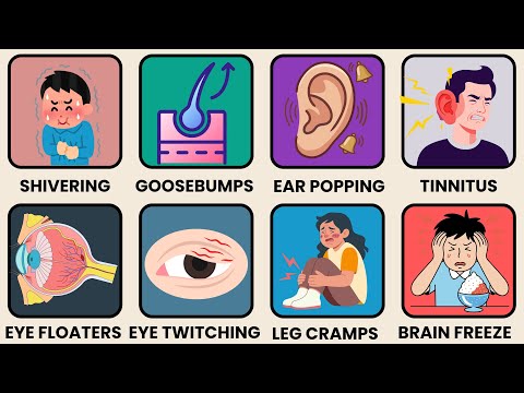 Every Body Glitch explained in 6 Minutes