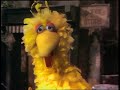 Sesame Street Show 131 Big Bird Almost Gets Hit By A Car 1970