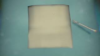 Bioreplica Vertebral Prosthesis