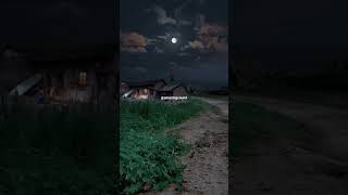 Download lagu Suara Katak di Malam Hari #relaxing #frogs #night mp3